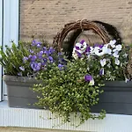 Couette-café Weinbergs Loge Ernst