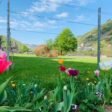 Weinbergs Loge לינה וארוחת בוקר ארנסט