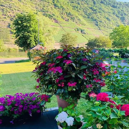 Weinbergs Loge Guest house 3*