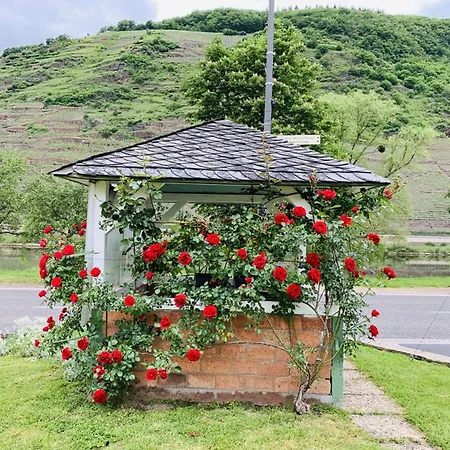 Pensión Weinbergs Loge Ernst