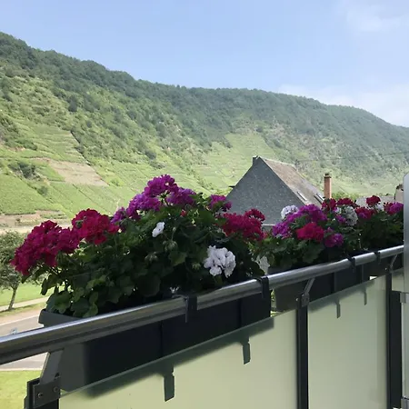 Weinbergs Loge Ernst