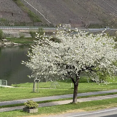 Weinbergs Loge 3* ارنست