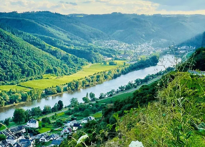 Weinbergs Loge 4* Ernst