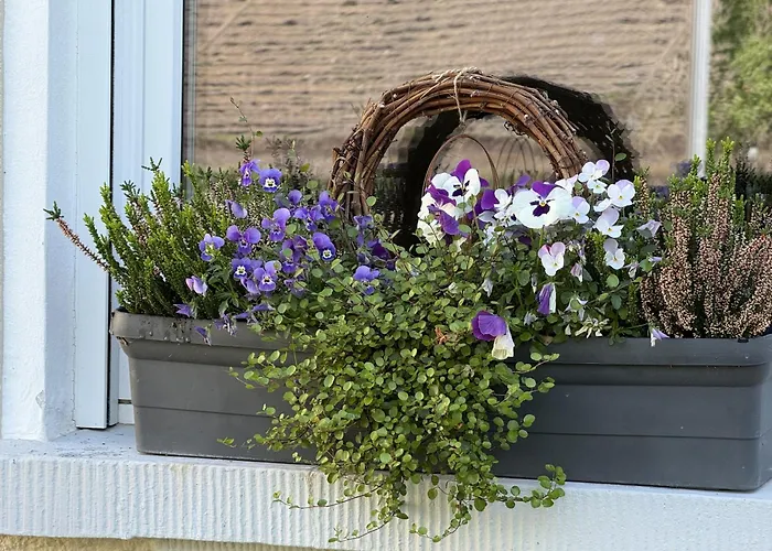 Nocleg ze śniadaniem Weinbergs Loge Ernst