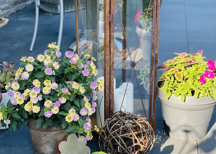 Weinbergs Loge Nocleg ze śniadaniem 4*