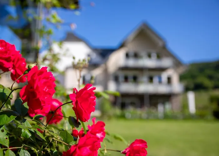 Nocleg ze śniadaniem Weinbergs Loge 4*