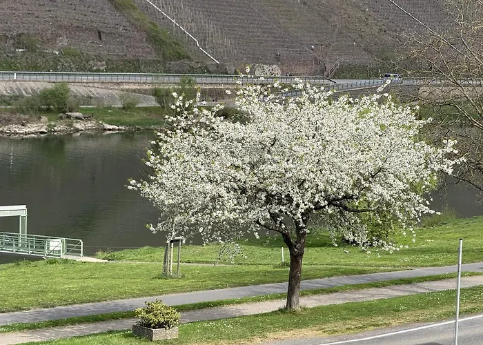 Weinbergs Loge 3* Ernst